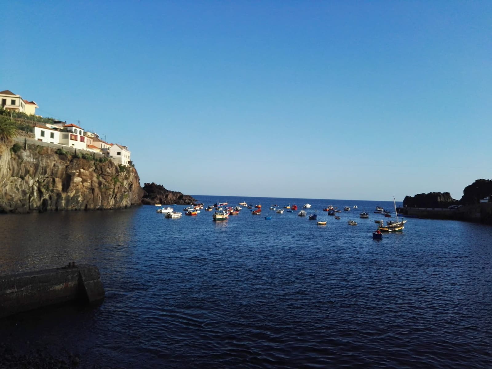 Wide view of Câmara de Lobos bay with fishing boats moored and houses on the cliff above
