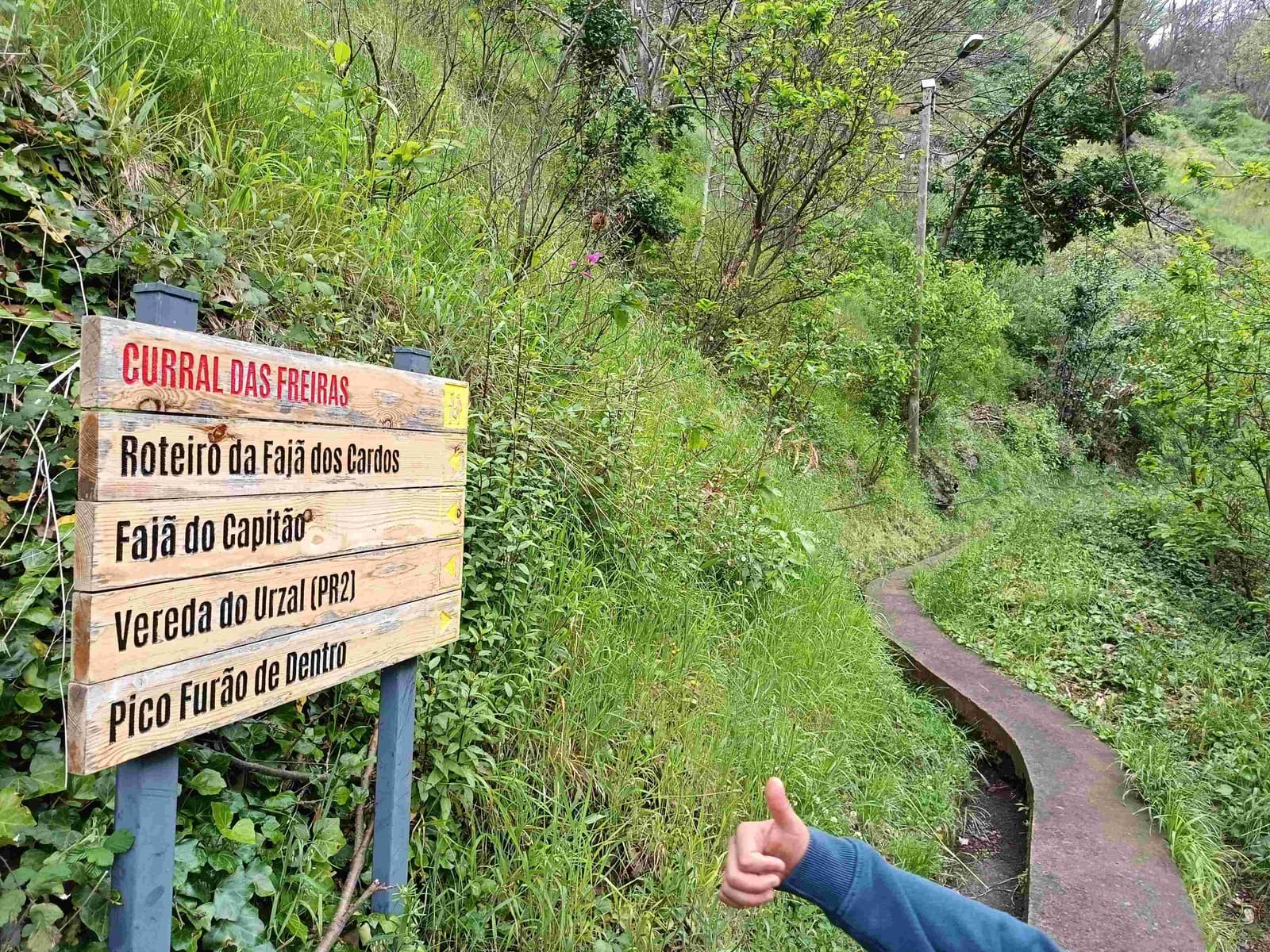 A wooden hiking signpost on a mountain road above the Curral das Freiras valley
