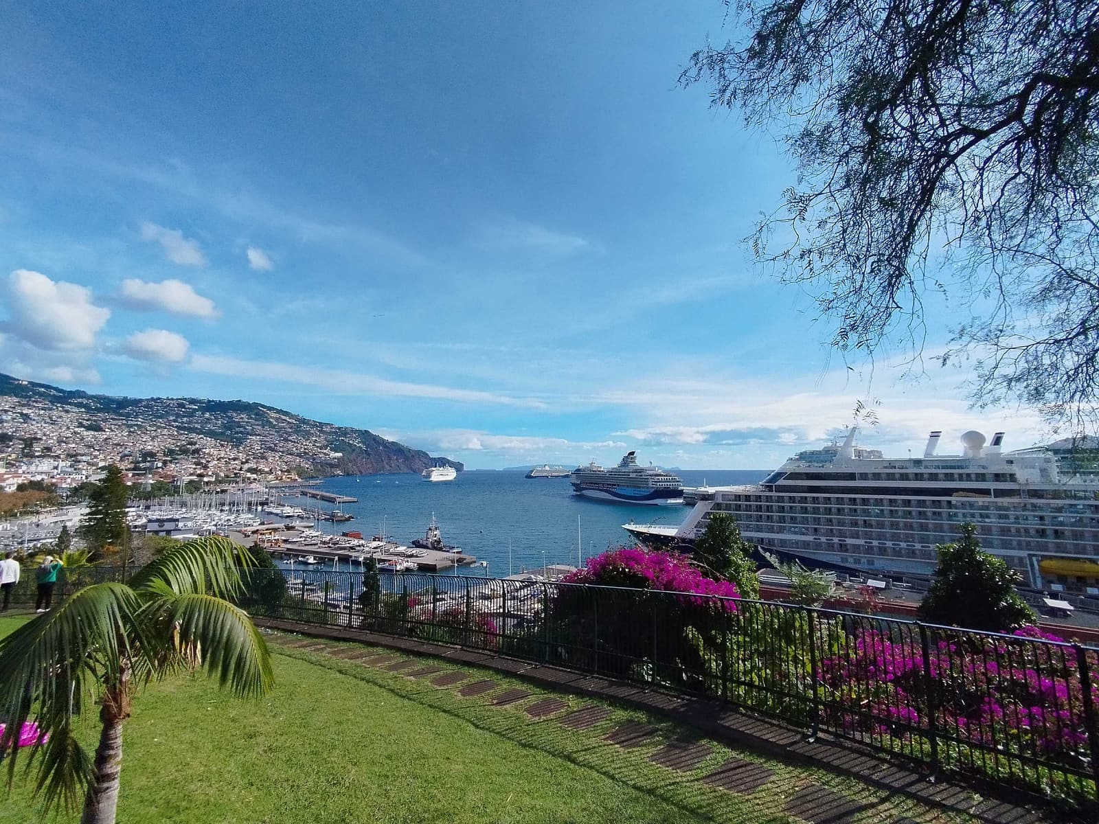 Funchal marina and harbour with cruise ships docked, seen from a garden viewpoint