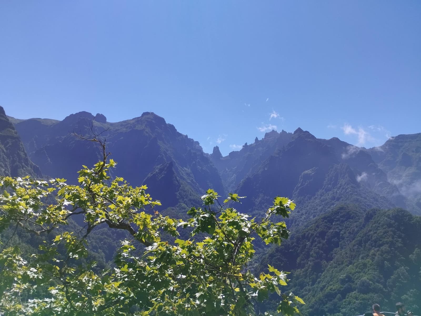 Jagged mountain peaks at Pico do Arieiro framed by a tree branch in the foreground
